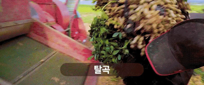 [김도훈PICK] 옳곡 땅콩버터/아몬드버터 골라담기 8종 택 1 상세페이지 38